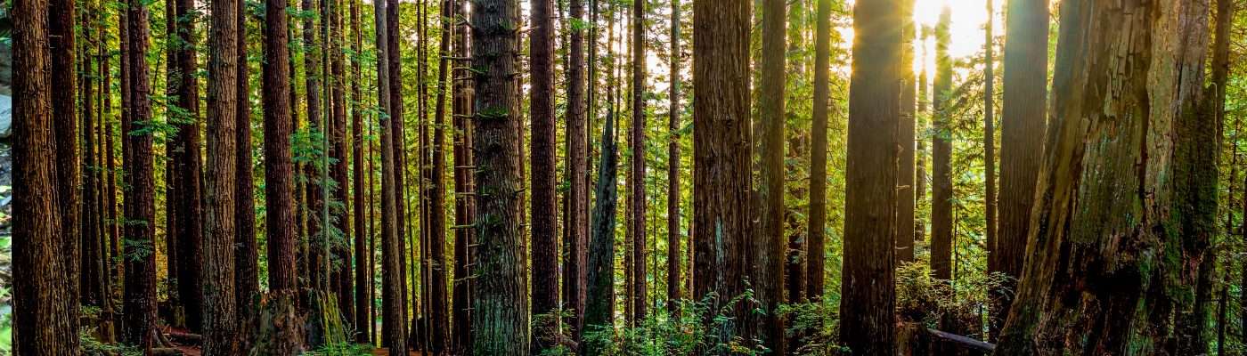 Humboldt County Information & Resources for Children & Families