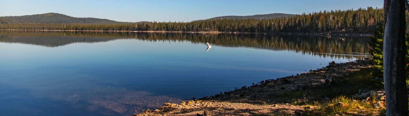 Modoc County Information & Resources for Children & Families
