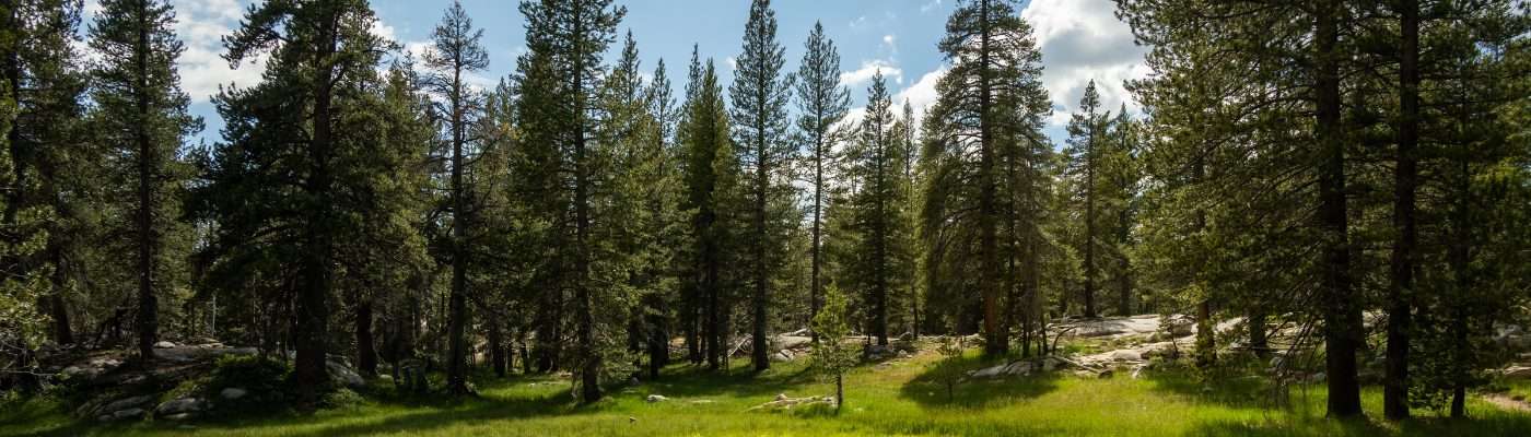 Tuolumne County Information & Resources for Children & Families