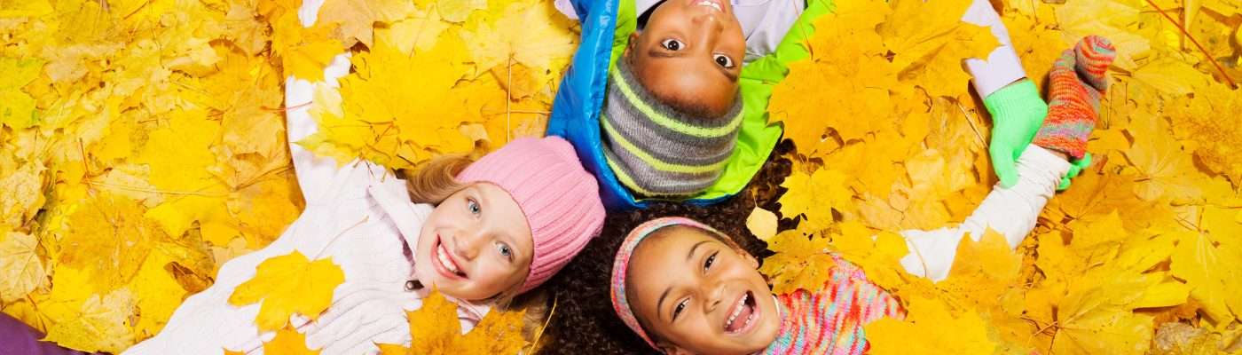 November 2024 Newsletter