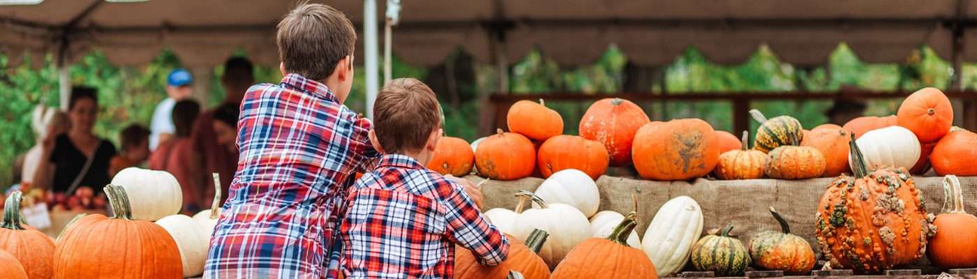 October 2024 Newsletter